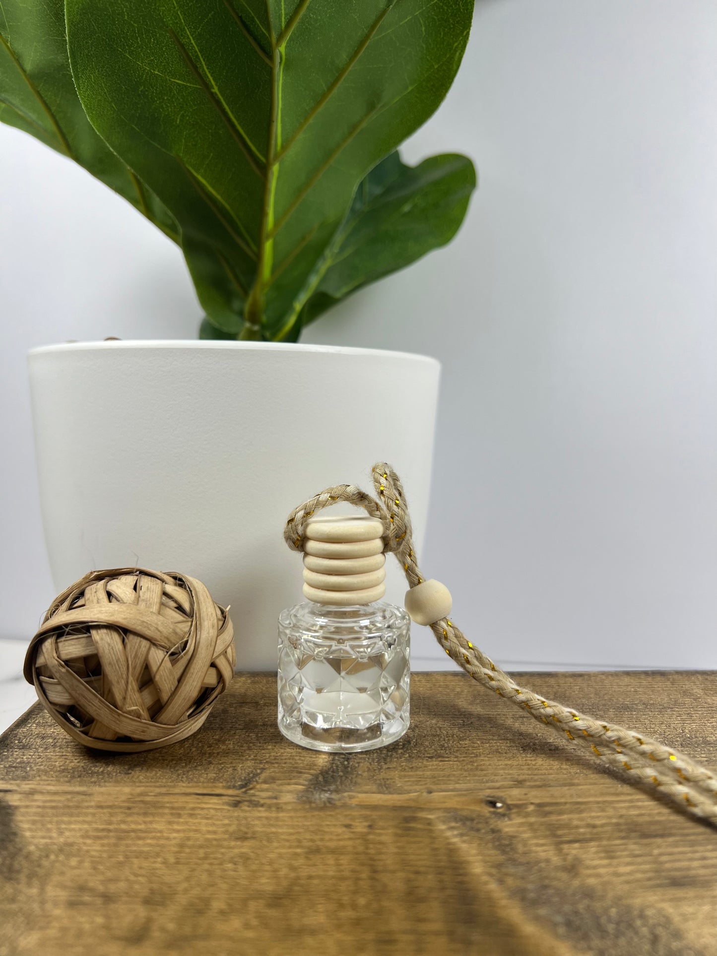 Plant Car Diffuser-Shift Change